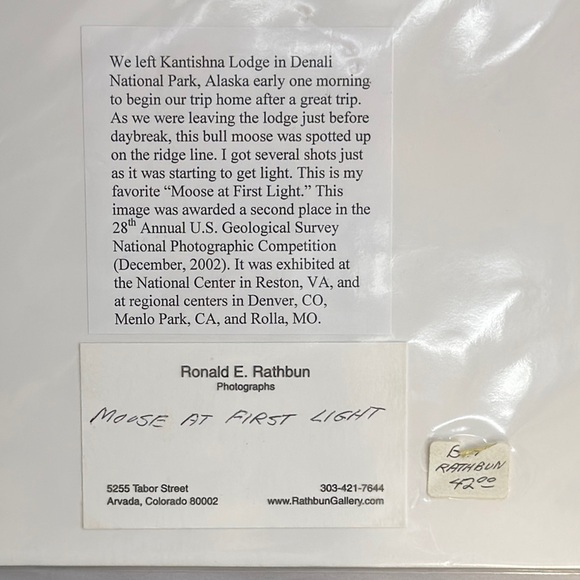 Moose at First Light Signed Art Print by Ronald Rathbun - Picture 5 of 6